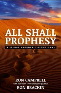 Read more about the article All Shall Prophecy / Book