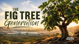 The Fig Tree_Thumbnail